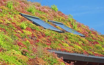 Childs Hill living roof systems